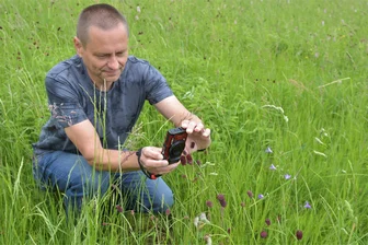 Mit Kamera und Geduld: Ein Vogtländer und sein besonderes Hobby - Ulrich Knüpfer: Warten auf den Dunklen Wiesenknopf-Ameisenbläuling.