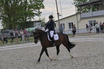 Mit Leidenschaft und Pferdeliebe auf das Podest in Seifersdorf - Das Reit- und Springturnier begann mit den Dressurprüfungen. Bianca Rödel vom RV Börnichen auf Lombard gewann die Dressur-Prüfung Klasse L.