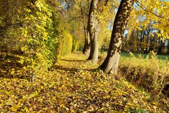 Mit offenen Augen und Kamera unterwegs in Blankenhain - Weg am Schloss Blankenhain.