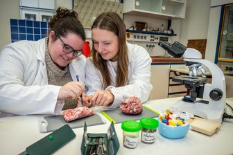 Mit Praxisbezug ins Studium oder den Beruf: Warum Schüler ans Berufsschulzentrum Döbeln-Mittweida wechseln - Tabea Barthel (18) aus Altmittweida und Chiara Sachse (17) aus Sachsenburg sind beide vom Gymnasium nach der zehnten Klasse an die Fachoberschule gewechselt.
