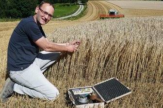 Mit schweren Maschinen gegen die Uhr: Landwirte im Erzgebirge kämpfen nach Regenpause um ihre Ernte - Matthias Bilz von Bauernland sieht sich Braugerste vor der Ernte noch einmal genauer an.