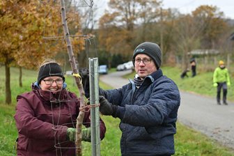 Mit Spaten und Herz: Helfer für Pflanzaktion in Rochlitzer Region gesucht - Grüner Stammtisch und Nabu hatten auch im Herbst 2024 Bäume gepflanzt, damals in Döhlen.