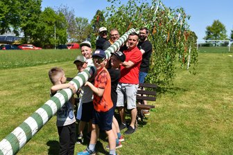 Mit vereinten Kräften: Maibaum-Aufstellen in Obergräfenhain bei Penig - Muskelkraft war in Obergräfenhain gefragt, als es darum ging, den Maibaum aufzustellen.