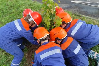 Mit vielen Fotos: Die Baumpflanz-Challenge erobert das Erzgebirge - von der Feuerwehr bis zum Jugendclub sind alle im Pflanzfieber - Die Jugendfeuerwehr Rechenberg-Bienenmühle pflanzt einen Feldahorn am neuen Depot in Neuclausnitz.