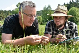 Mit Wiesen auf Tuchfühlung -