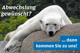 Mitarbeiter Lager- & Kommissioniertätigkeiten (m/w/d) - 