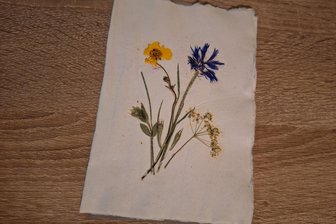 Mitmachangebot für Kinder: Papierschöpfen in den Ferien mit dem Heimatverein Pausa - Selbst geschöpftes und gestaltetes Papier.