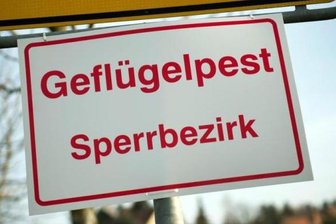 Mittelsachsen: Stallpflicht ab Freitag aufgehoben -