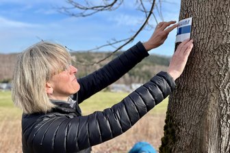 Mittelsachsens schönstes Stück Erzgebirge liegt am Kammweg - Aller 300 Meter eine Markierung: Birgit Knöbel kennt die Ansprüche an einen Qualitätswanderweg.