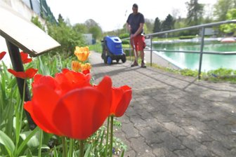 Mittelsächsische Initiativen bei Wettbewerb prämiert - Die Projektidee, im Romanusbad Siebenlehn einen Volleyballplatz zu bauen, ist jetzt ausgezeichnet worden.