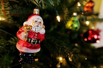 Mittelsächsisches Theater sucht Weihnachtsbäume -