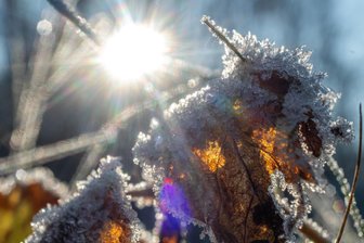 Mittleres Erzgebirge: Frühwinterliches Intermezzo im November und der Traum von weißer Weihnacht - Eine November-Impression aus Olbernhau-Rothenthal,