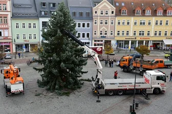 Mittweida: Blaufichte stimmt auf Weihnachtszeit ein -