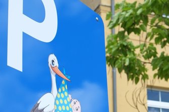 Mittweida: Storchenparkplatz am Krankenhaus -