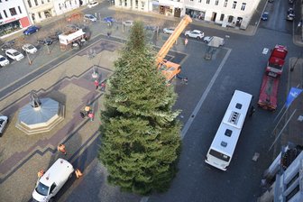 Mittwoch: Oelsnitzer Weihnachtsbaum rollt an - Am Mittwochvormittag wird der Oelsnitzer Weihnachtsbaum auf dem Marktplatz aufgestellt.