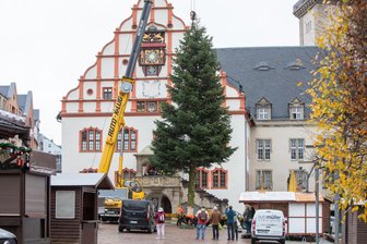 Mogelei um Plauener Weihnachtsbaum fliegt auf - Um den Weihnachtsbaum auf dem Markt fest zu verankern, wurde in Plauen ein bisschen was abgeschnitzt.