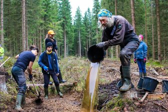 Moore im Erzgebirge: Warum sich Freiwillige aus ganz Deutschland dafür schinden - Martin Niedermeier (vorn) gehört zu den Freiwilligen, die bei der Renaturierung des Moores bei Johanngeorgenstadt helfen.