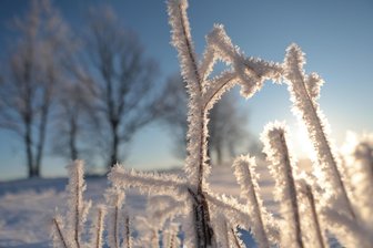Morgenröthe-Rautenkranz macht seinem Namen als Kältekammer des Vogtlands alle Ehre - Die Temperaturen bleiben im Minusbereich. Besonders kalt ist es in Muldenhammer.