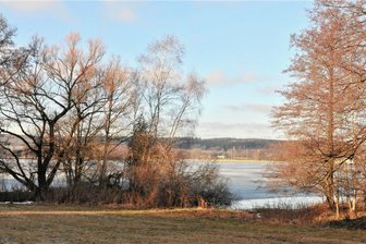 Morsche Pappeln kommen weg: Gehölzpflege am Oberen Großhartmannsdorfer Teich - Der Obere Großhartmannsdorfer Teich. 