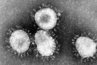 Motorrad-WM: MotoGP-Klasse startet wegen Coronavirus nicht in Katar - 
