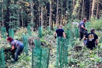 Motorsportler pflanzen junge Bäume im Stadtwald - Vereinsmitglieder beim Aufforsten im Stadtwald. 