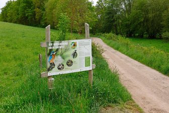 Mountainbike-Rennen führt zu Einschränkungen - Auf den Wanderwegen im Hirschgrund sind am Samstag Mountainbiker unterwegs.