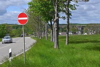 Mühlau ebnet Weg für neue Wohngebiete - An der Reitzenhainer Straße in Mühlau sollen auf einem Wiesengrundstück bald Eigenheime gebaut werden. 