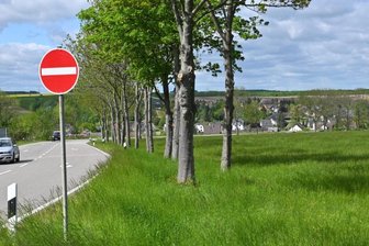 Mühlau ebnet Weg für neue Wohngebiete - An der Reitzenhainer Straße in Mühlau sollen auf einem Wiesengrundstück bald Eigenheime gebaut werden. 