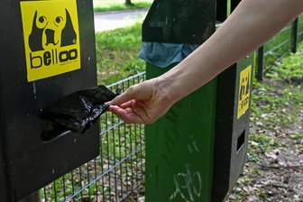 Mühlau: Hundetoilette während Beerdigung nebenan demoliert – wer war das? - Ein Unbekannter hat in Mühlau auf dem Platz der Ermahnung eine Hundetoilette demoliert und ist anschließend mit seinem Fahrzeug geflüchtet.
