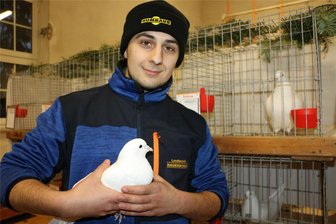 Mühltroffer Geflügelzüchter krönen ihr Jubiläum - Jugendzüchter Nicko Mieth aus Fröbersgrün ist mit seinen Tauben der Rase Mittelhäuser weiß zur Ausstellung dabei. Die Jugendzüchter werden extra prämiert. „Wir wollen die jungen Züchter fördern“, so der Vereinsvorsitzende Ralf Schinnerling.