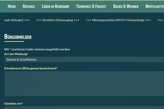 Müll, Schlaglöcher, Vandalismus: Reinsdorfer nutzen Online-Bürgermelder - 