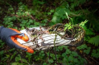 Müllsammel-Aktion in Falkenau: Zeichen für Sauberkeit und Gemeinschaft - Ein Fußballschuh - einst sicher ein teures Exemplar - achtlos weggeworfen. Gut zu sehen, dass die Natur letztlich ihr Revier behauptet. Aber vielleicht hätte man mit dem gebrauchten Schuh auch eine Freude machen können.
