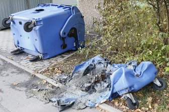 Mülltonne geht in Flammen auf -