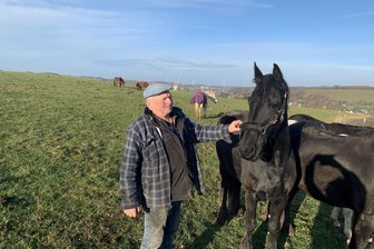 Mülsener Landwirt fragt sich: Warum 30 neue Windräder für Westsachsen, wenn die alten so oft still stehen? - Dieter Unger oben auf seiner Pferdekoppel in Ortmannsdorf. Von dort aus sieht er viele Windräder, fast immer steht eins. Foto: Uta Pasler