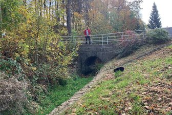 Mülsener sauer über grüne Wiese im Bachbett: „Wenn’s richtig regnet, landet das alles in Niedermülsen“ - Grüne Wiese statt kristallklaren Wassers - im Oberdorf ist der Bach zugewachsen.