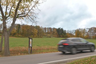 Mulda: Arbeiten am neuen Einkaufsmarkt beginnen bald - Auf dieser Wiese am Ortsausgang Mulda in Richtung Helbigsdorf soll ein neuer Penny-Markt entstehen.