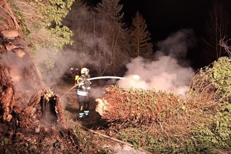 Mulda: Brennender Baum ruft Feuerwehr auf den Plan - Ein Baum brannte am Sonntagnachmittag in Mulda. Die Freiwillige Feuerwehr war im Einsatz.