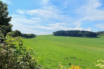 Mulda: Räte sprechen über geplanten Solarpark nahe Zethau - Nahe des Herrenweges in Zethau sind vier Solarflächen geplant, auch in diesem Bereich. Hier ein Foto von Anfang September diesen Jahres.