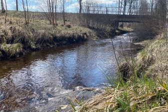 Muldenhammer bereitet Projekt Hochwasserschutz an der Zwickauer Mulde vor - 