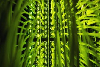 Muldenhammer und Klingenthal derzeit ohne Telekommunikation -