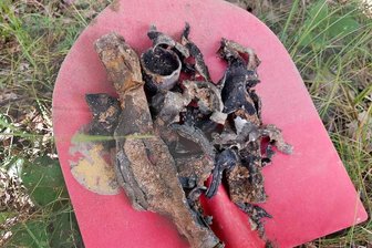 Munition aus dem Münzbach in Freiberg gesprengt - Marcel Schlenkrich 