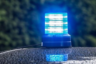 Mutmaßliche Diebe gestellt -
