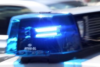 Mutmaßlicher Dieb hockt im Gebüsch -