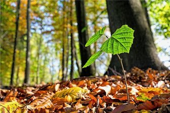 Mutterliebe - Nachwuchs.