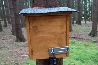 Mysteriöse Kästen im Wald geben Rätsel auf - Solche Kästen hat ein Leser zwischen Geyer und Elterlein im Wald entdeckt. 