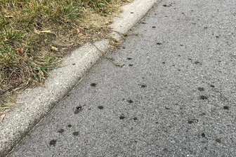 Mysteriöse Notlandung: Ließ Flugzeug über Frankenberg Treibstoff ab? - Die Flecken vor dem betroffenen Wohnhaus in Frankenberg waren auch am Montag noch gut sichtbar.