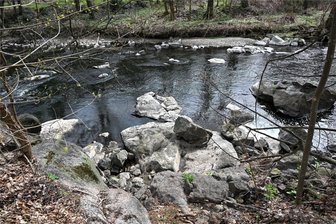 Mysteriöse weiße Flusssteine im Chemnitztal: Naturphänomen oder Umweltverschmutzung? - Im Schweizerthal, ein Ortsteil von Mohsdorf, das zu Burgstädt gehört, ragen große weiße Steine aus dem Chemnitz-Fluss. Anwohner, Wanderer und Spaziergänger rätseln, warum sich die Felsen so gefärbt haben.