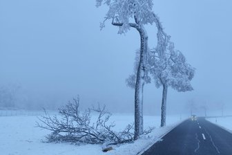 Mystisches Erzgebirge: Landratsamt warnt vor Schnee- und Eisbruch - Am Donnerstagmorgen bot sich Mitarbeitern der Straßenmeisterei im Raum Frauenstein-Sayda dieses Bild.