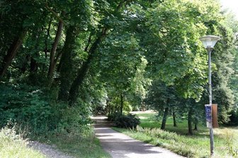 Tatort: Chemnitzer Stadtpark. Hier wurde eine Joggerin am Montag überfallen und schwer verletzt.