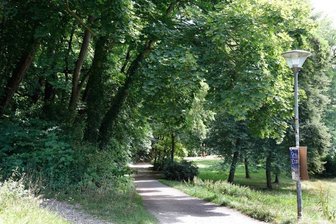 Nach Angriff auf Joggerin und Zeitungszustellerin in Chemnitz: Tatverdächtiger ermittelt -